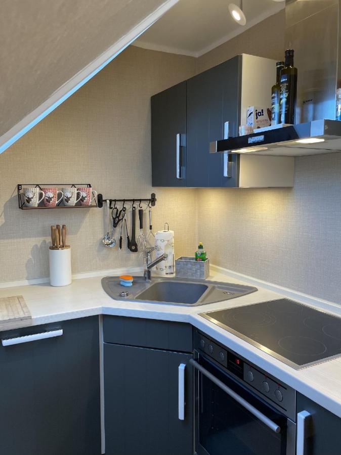 Luxus Ferienwohnung Schoene Aussicht 고슬라르 외부 사진